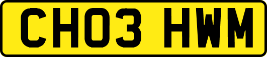 CH03HWM