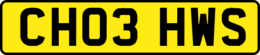 CH03HWS