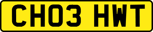 CH03HWT
