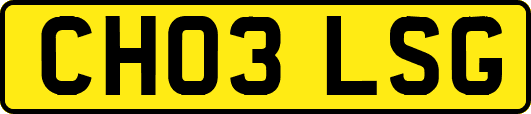 CH03LSG