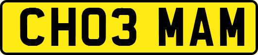 CH03MAM