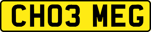 CH03MEG