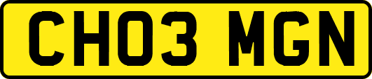 CH03MGN