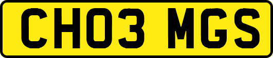 CH03MGS