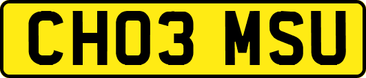 CH03MSU