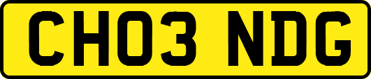 CH03NDG
