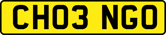 CH03NGO