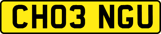 CH03NGU