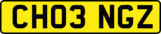CH03NGZ