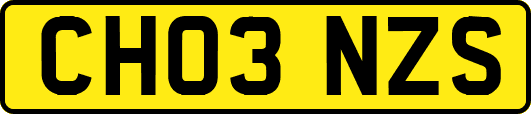 CH03NZS