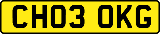 CH03OKG