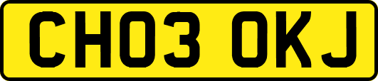 CH03OKJ