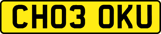 CH03OKU