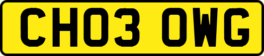 CH03OWG