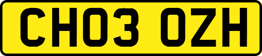 CH03OZH