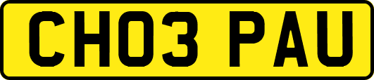 CH03PAU