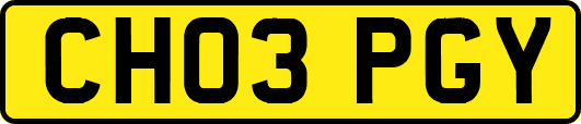CH03PGY