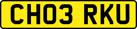 CH03RKU