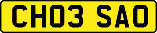 CH03SAO