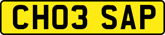 CH03SAP