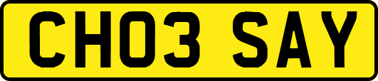 CH03SAY