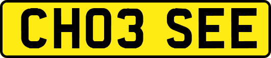 CH03SEE