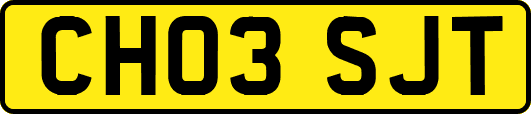 CH03SJT