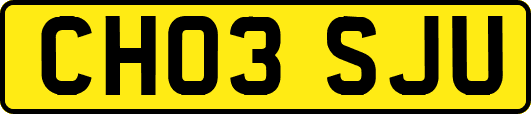CH03SJU