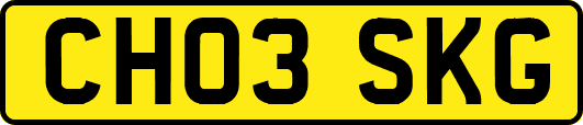 CH03SKG