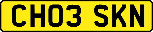 CH03SKN