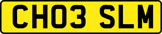 CH03SLM