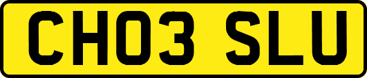 CH03SLU