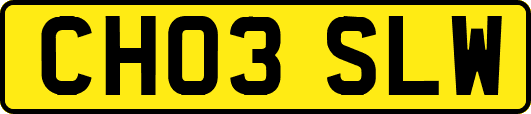 CH03SLW