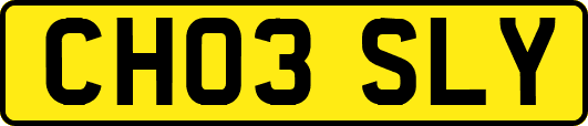 CH03SLY