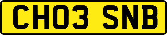 CH03SNB