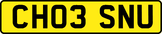 CH03SNU