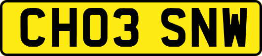 CH03SNW