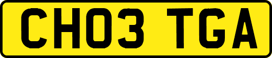 CH03TGA