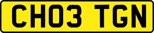 CH03TGN