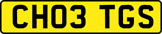 CH03TGS