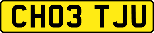 CH03TJU