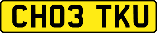 CH03TKU