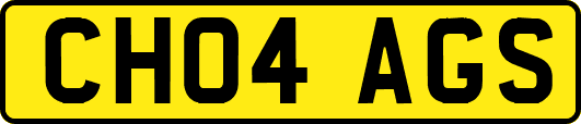 CH04AGS