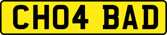 CH04BAD
