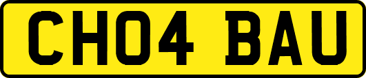 CH04BAU