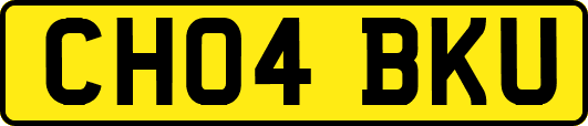 CH04BKU