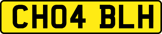 CH04BLH