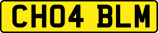 CH04BLM
