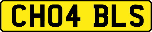 CH04BLS