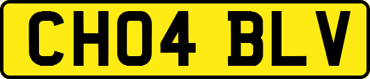 CH04BLV